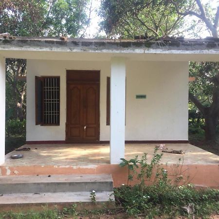 Art Forest Hotel Auroville Exterior foto
