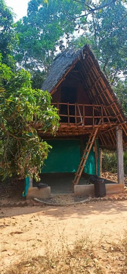 Art Forest Hotel Auroville Exterior foto